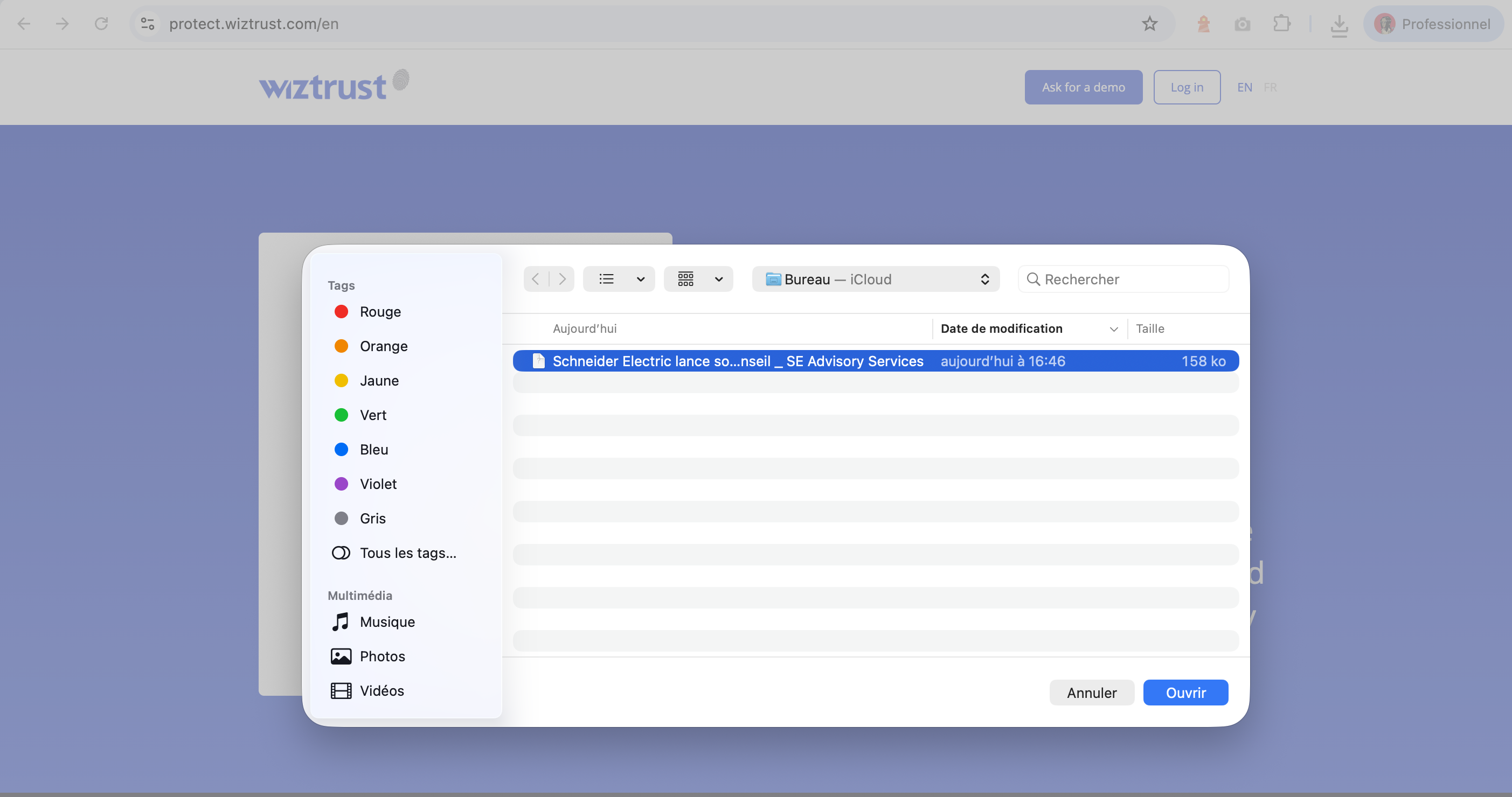 Wiztrust Protect Verify 2
