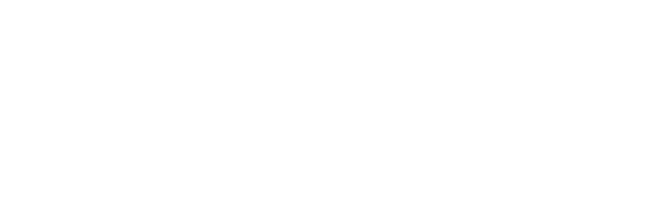 Wiztopic